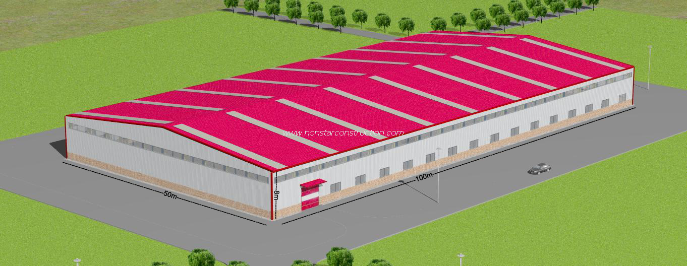 100m X 50m X 8m Steel Structures Framing Building From China Construction Companies