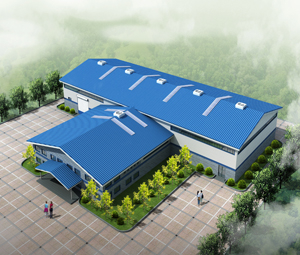 china steel structure manufacture